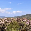 吉安旅游 缩略图 6