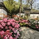 苏州旅游 缩略图 5
