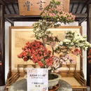 苏州旅游 缩略图 6