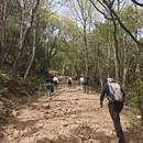 无锡旅游 缩略图 4