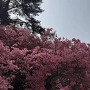 武汉旅游 缩略图 9
