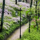 杭州旅游 缩略图 6