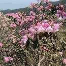 赣州旅游 缩略图 15