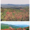 宣城旅游 缩略图 6