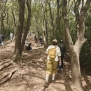 无锡旅游 缩略图 5