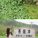 黄冈旅游 缩略图 6