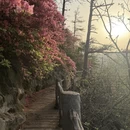武汉旅游 缩略图 12