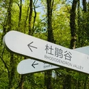 杭州旅游 缩略图 3