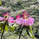 赣州旅游 缩略图 10