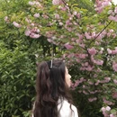 黄冈旅游 缩略图 8