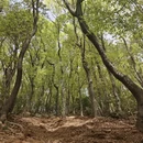 无锡旅游 缩略图 8