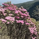 赣州旅游 缩略图 12