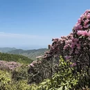 赣州旅游 缩略图 13