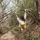 无锡旅游 缩略图 12
