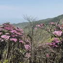 赣州旅游 缩略图 16