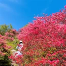 南京旅游 缩略图 1
