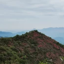 黄冈旅游 缩略图 8