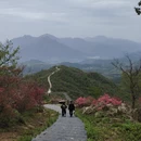 黄冈旅游 缩略图 9