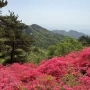 黄冈旅游 缩略图 1