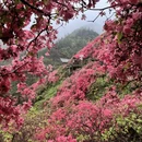 武汉旅游 缩略图 6