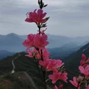 黄冈旅游 缩略图 1