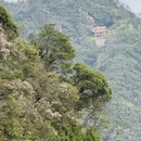 赣州旅游 缩略图 18