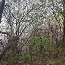 无锡旅游 缩略图 14