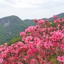 黄冈旅游 缩略图 2