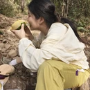 无锡旅游 缩略图 15