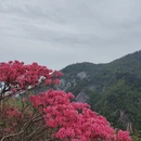 黄冈旅游 缩略图 3