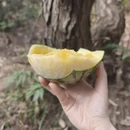 无锡旅游 缩略图 16