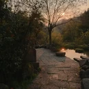 黄山旅游 缩略图 3