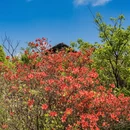 南京旅游 缩略图 3