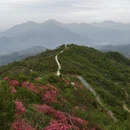 黄冈旅游 缩略图 4