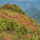 南京旅游 缩略图 5