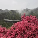 武汉旅游 缩略图 7