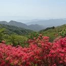 黄冈旅游 缩略图 2