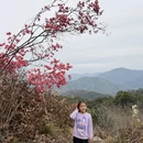 九江旅游 缩略图 8