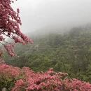 武汉旅游 缩略图 8
