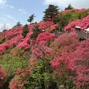 黄冈旅游 缩略图 3