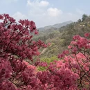 武汉旅游 缩略图 4
