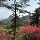 黄冈旅游 缩略图 10