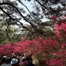 黄冈旅游 缩略图 11