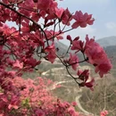 武汉旅游 缩略图 5