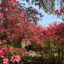 黄冈旅游 缩略图 12