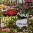 苏州旅游 缩略图 3