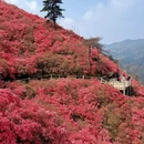 武汉旅游 缩略图 7