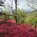 黄冈旅游 缩略图 15