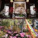 苏州旅游 缩略图 5