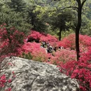 黄冈旅游 缩略图 16